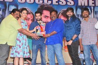 Pandaga Chesko Movie Success Meet